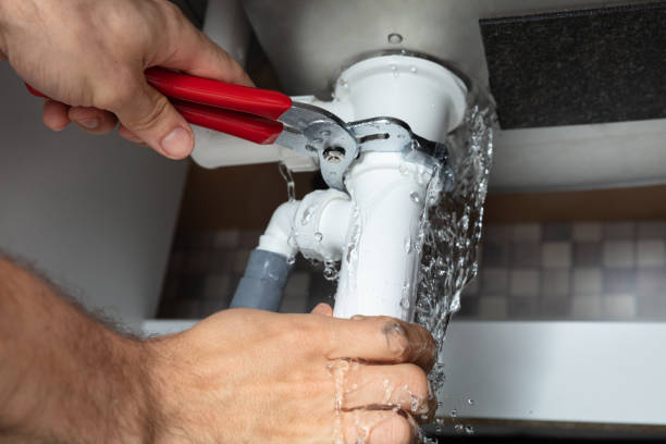 Best Water damage restoration near me  in Memphis, MI