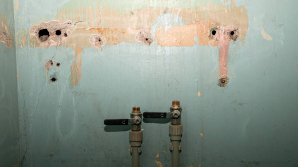 Best Emergency water damage restoration  in Memphis, MI